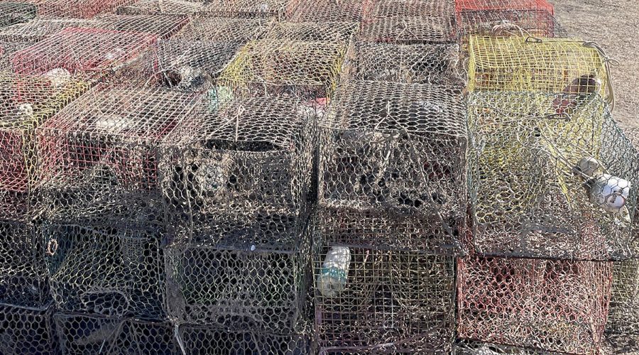 Retrieved crab pots that may be identified and reused are set aside to be reclaimed. Photo: North Carolina Coastal Federation