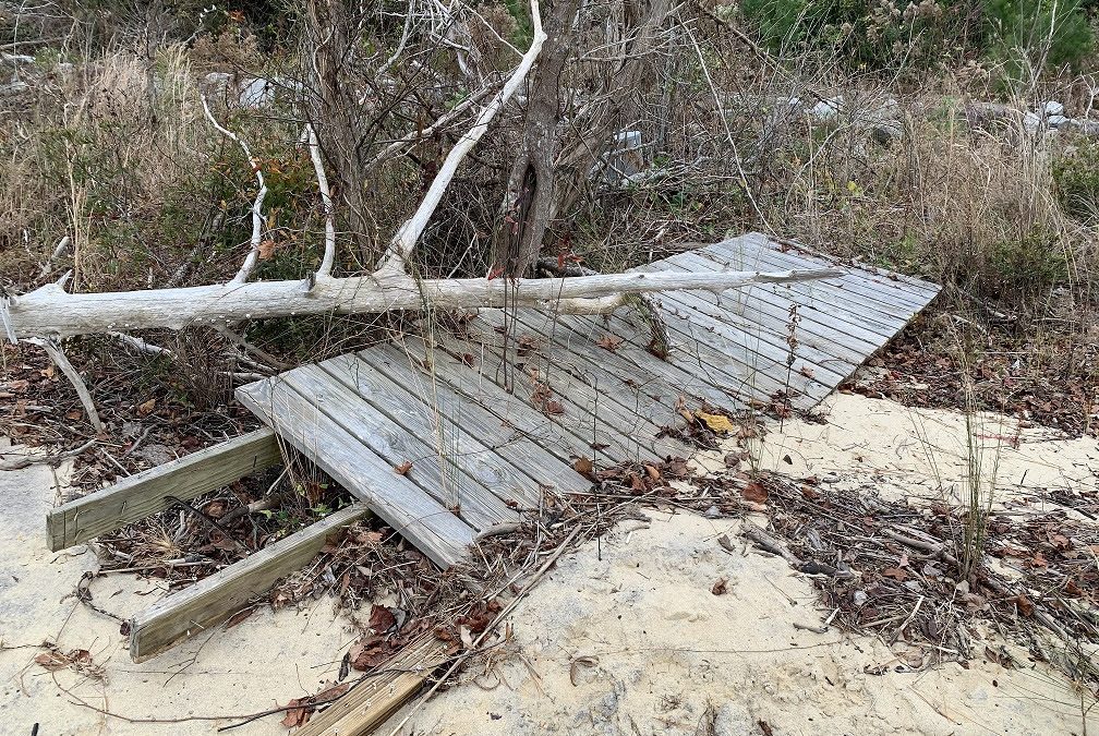 A damaged walkway in Croatan National Forest after Hurricane Florence. Photo: U.S. Forest Service