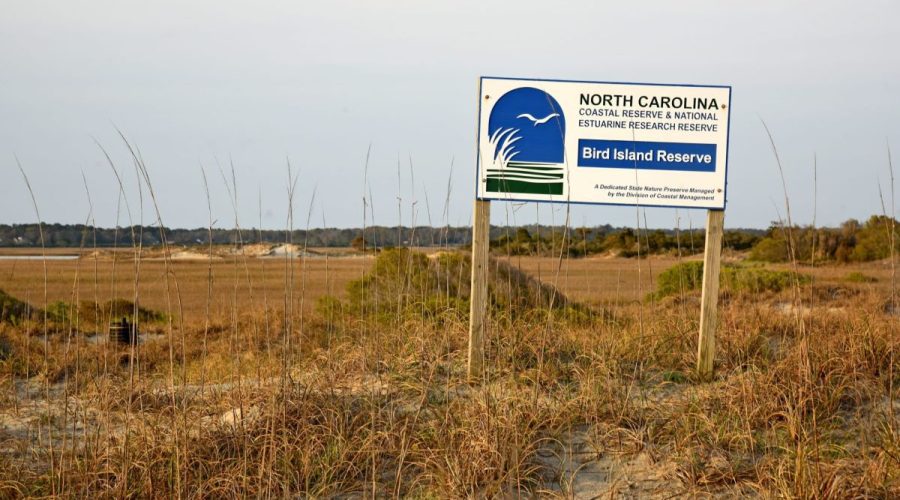 Bird Island Reserve in Sunset Beach is one of 10 North Carolina Coastal Reserve sites. Photo: N.C. Sea Grant/N.C. Coastal Reserve