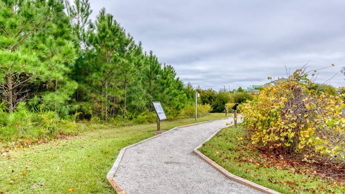 Marshall and Gussie Collins Walkway. Photo: Dare County