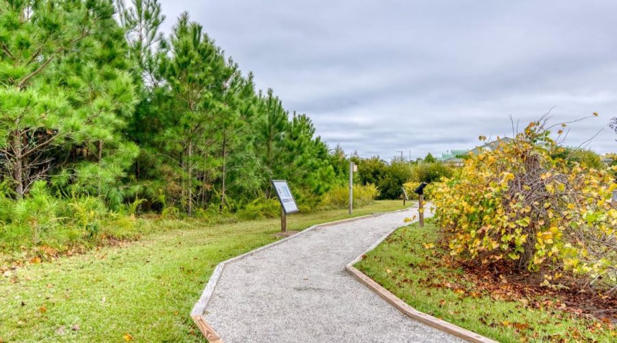 Marshall and Gussie Collins Walkway. Photo: Dare County