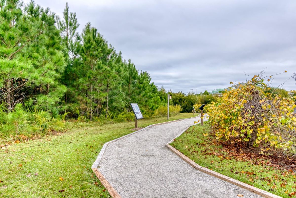 Marshall and Gussie Collins Walkway. Photo: Dare County