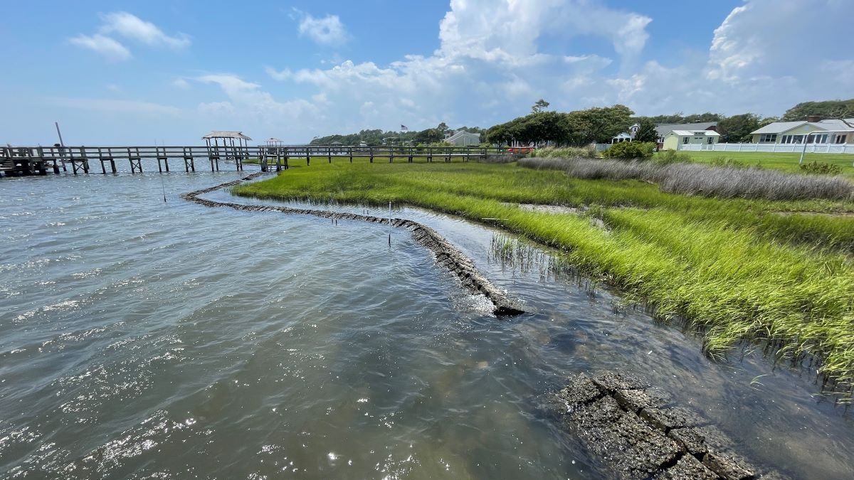 Example of a living shoreline on private property in Newport. Photo: Sarah Bodin/N.C. Coastal Federation