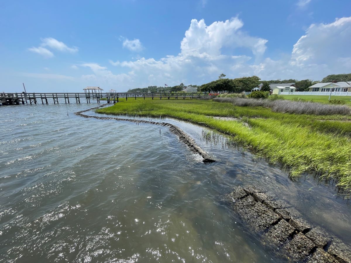 Example of a living shoreline on private property in Newport. Photo: Sarah Bodin/N.C. Coastal Federation