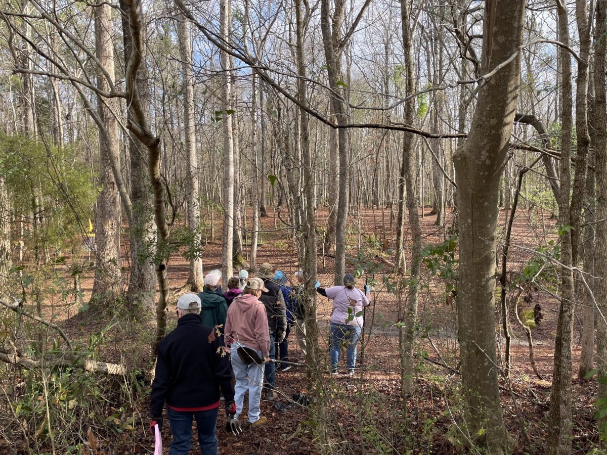 Volunteers with the North Carolina Native Plant Society - Central Coastal Plain Chapter  remove the invasive  Chinese privet Saturday from Creekside Park in New Bern. Photo: Craven County Recreation & Parks