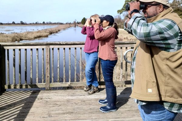 Participants learn about waterfowl at Lake Mattamuskeet in February during a past ForestHer NC birding event. Photo: ForestHer NC