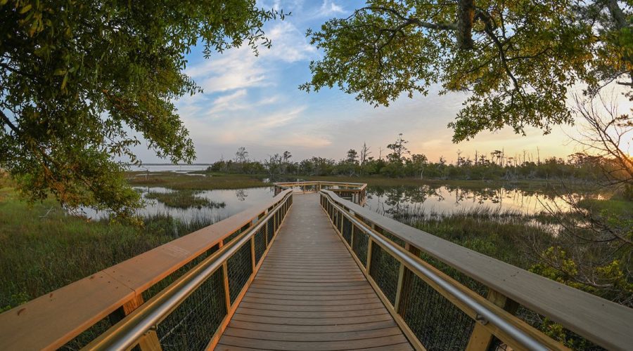The newly renovated Marsh Boardwalk at the N.C. Aquarium at Pine Knoll Shores is open once again to the public and offers scenic views of Bogue Sound located behind the Aquarium. Photo: NC Aquariums