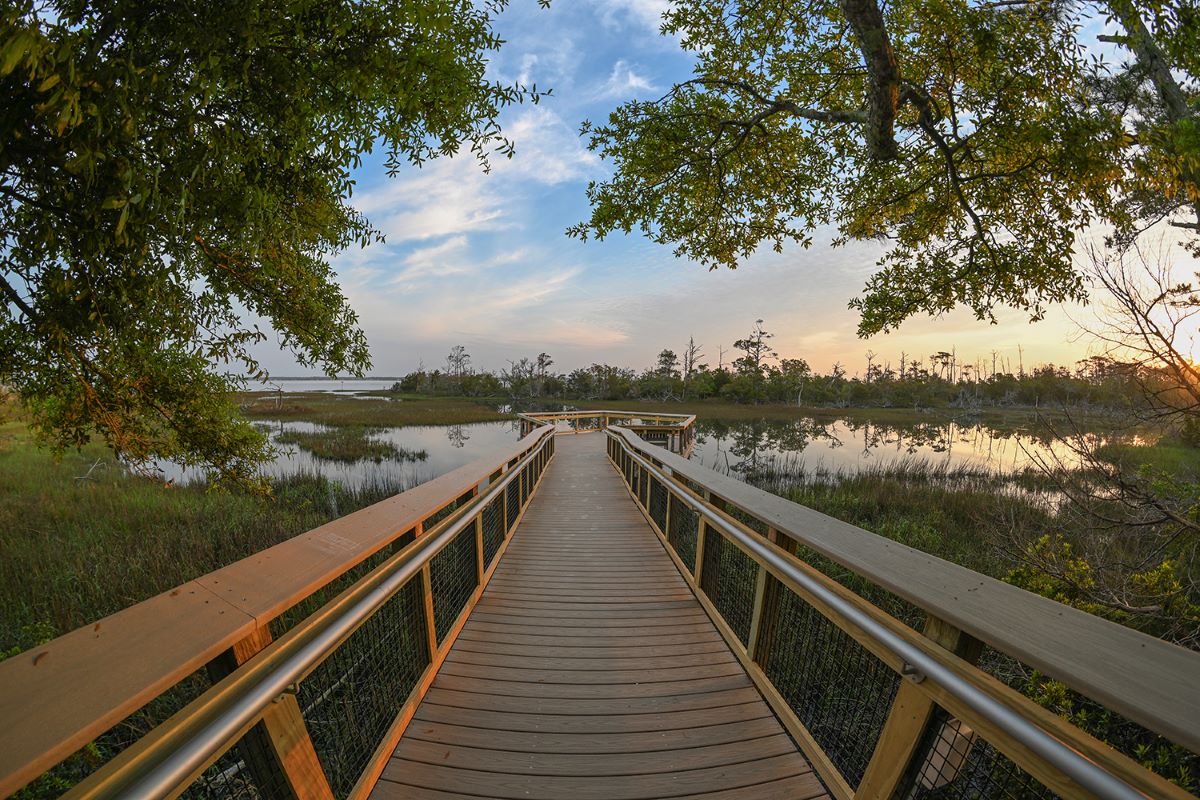 The newly renovated Marsh Boardwalk at the N.C. Aquarium at Pine Knoll Shores is open once again to the public and offers scenic views of Bogue Sound located behind the Aquarium. Photo: NC Aquariums