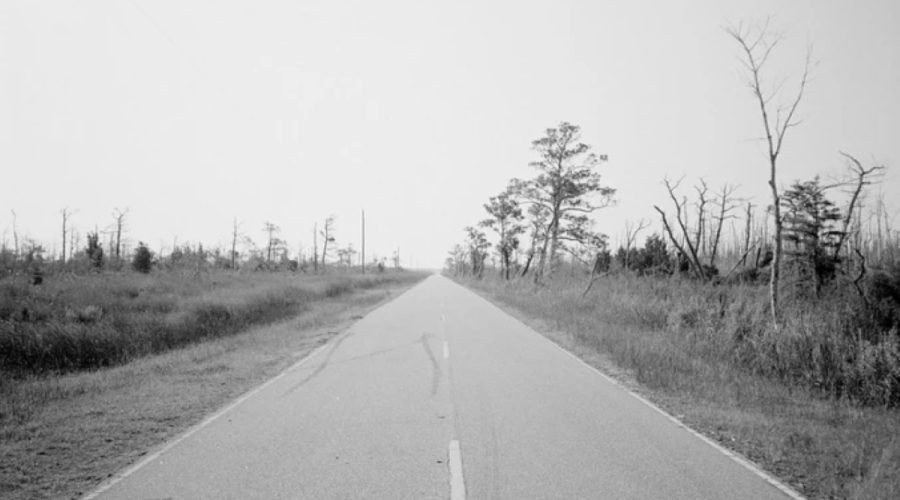 The road to Mashoes, Dare County, N.C. 2014. Photo by David Bivins (Flickr)