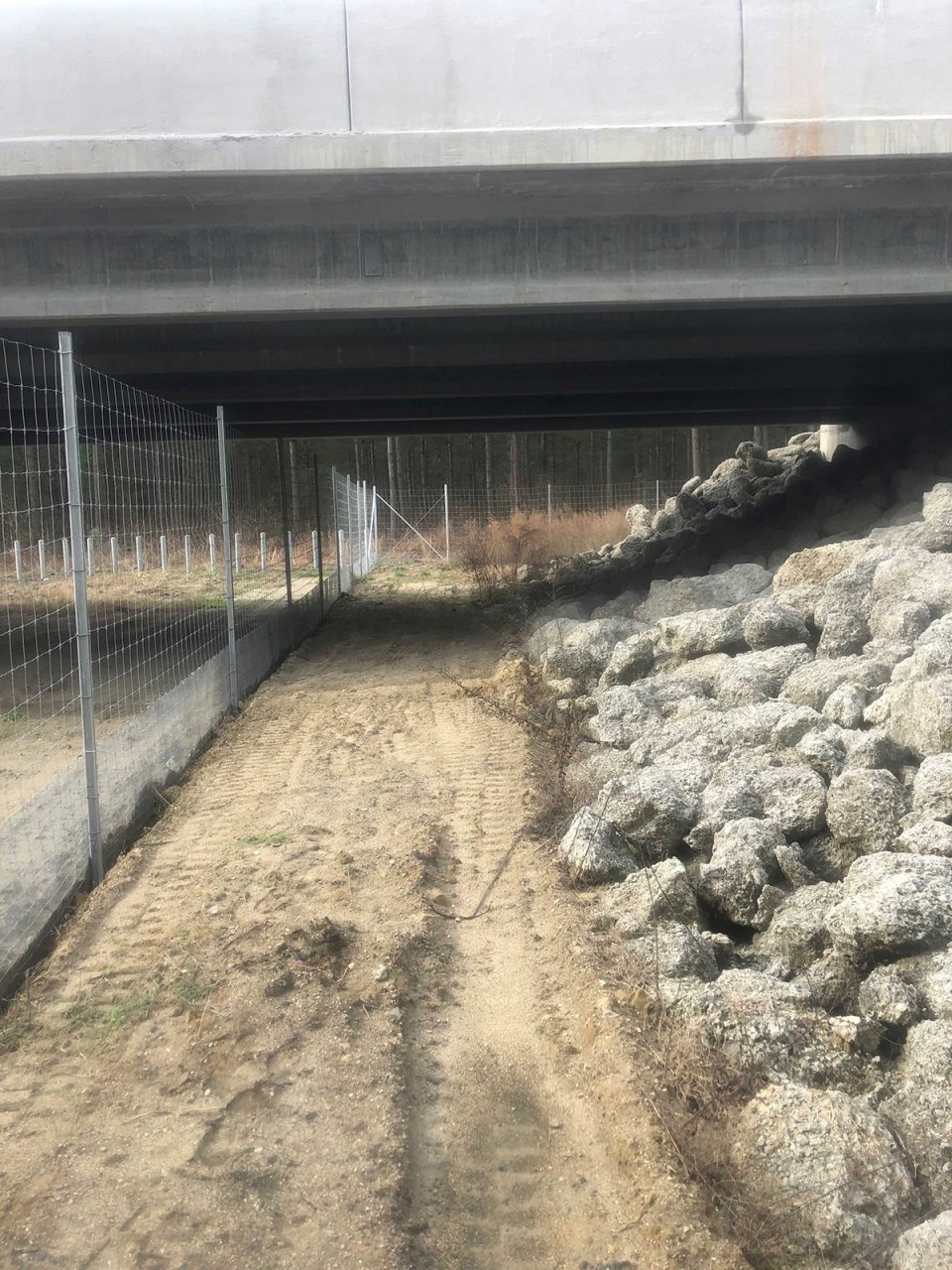 Shown is wildlife fencing from one of the North Carolina Department of Transportation’s current wildlife underpasses. Photo: Travis Wilson