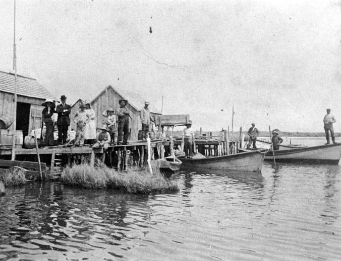 This is an undated photograph of fishermen, their boats, and a cluster of fish camps at Mashoes. A well-dressed couple, perhaps visitors, are also standing on the dock. Note the two shad boats, one of them still sail rigged, the other with lines that show the hand of a master builder.  Courtesy, Randall Holmes Collection (AV-5255), Outer Banks History Center

