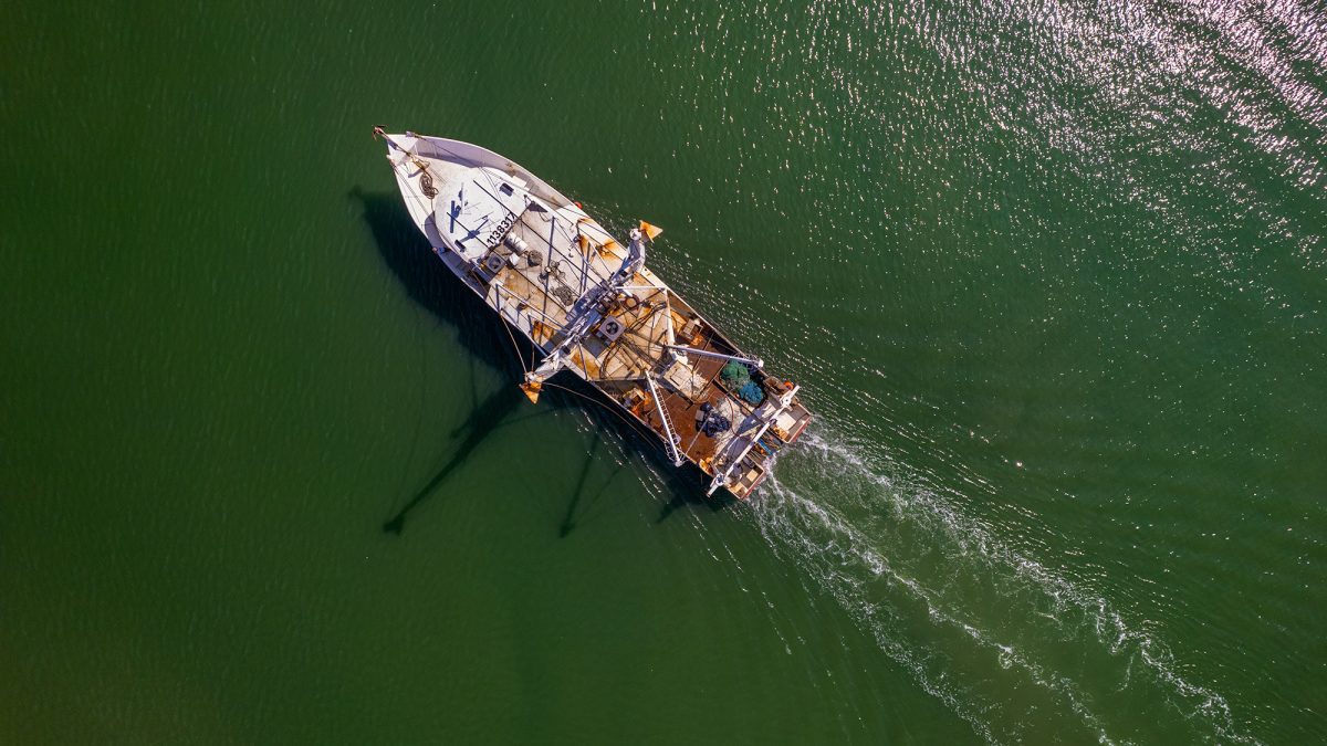 A commercial fishing trawler glides over the shallow waters of Gallants Channel near Pivers Island in Beaufort. Photo: Dylan Ray