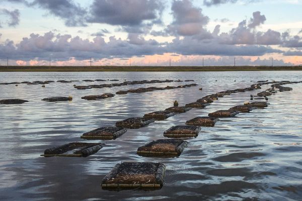 Applications for shellfish leases, like the one shown here, must go through the Division of Marine Fisheries. Photo: DMF