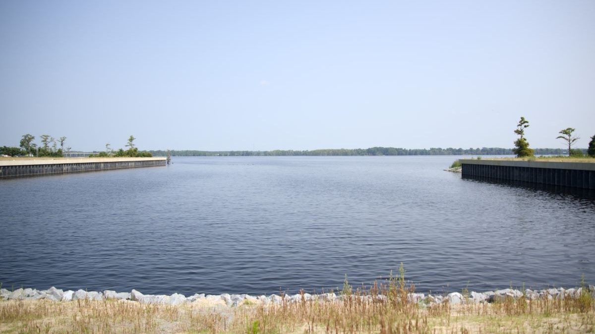 Looking northeast across the Perquimans River from the Perquimans County Marine Industrial Park boat basin. Photo: Kip Tabb