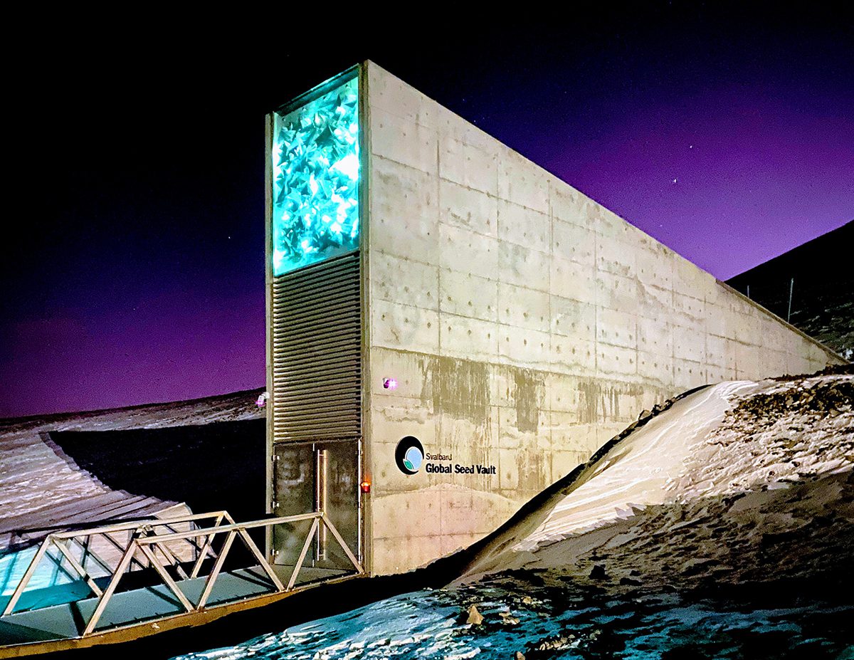 The Svalbard Global Seed Vault on the Norwegian island of Spitsbergen is a repository to protect the world's crop diversity. Photo: Subiet/Creative Commons