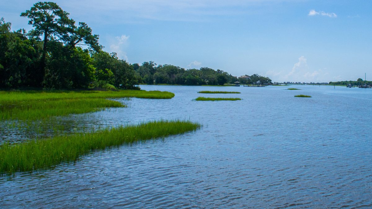 Bradley Creek, shown here, and nearby Hewletts Creek together cover more than 21 square miles and feature two connections to the Atlantic Intracoastal Waterway. Photo: healourwaterways.org