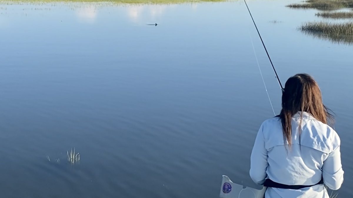 Krist Irvin of Pennsylvania spots a waving redfish tail on a North Carolina spartina flat. Photo: Gordon Churchill