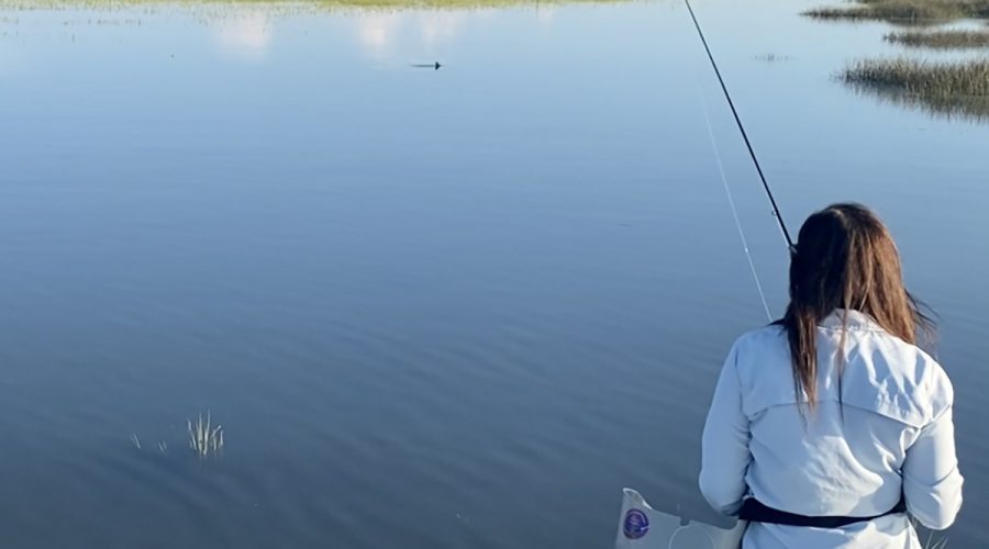 Krist Irvin of Pennsylvania spots a waving redfish tail on a North Carolina spartina flat. Photo: Gordon Churchill