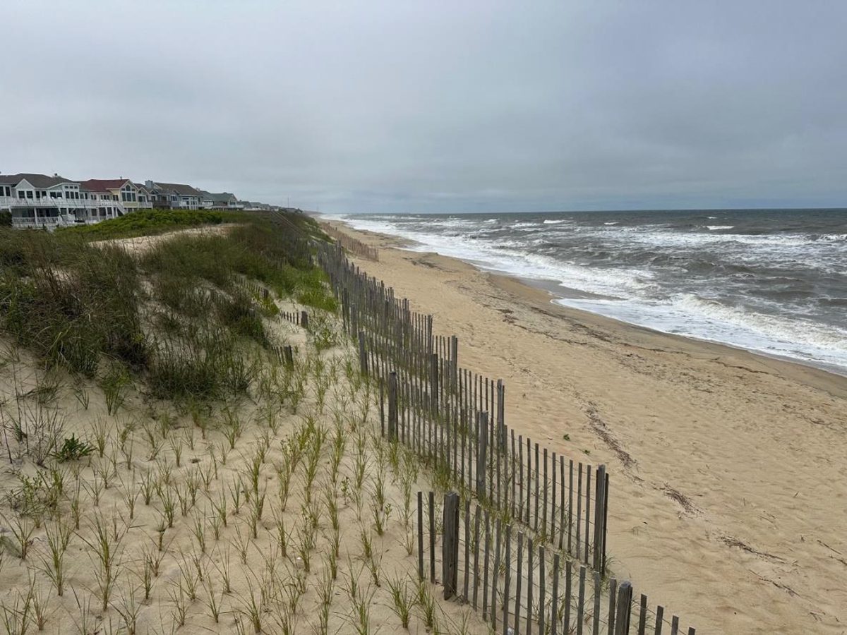 The proposed rule change would allow wheat straw bales to protect dunes when typical wooden sand fencing, as shown here, is in high demand. Photo: Division of Coastal Management