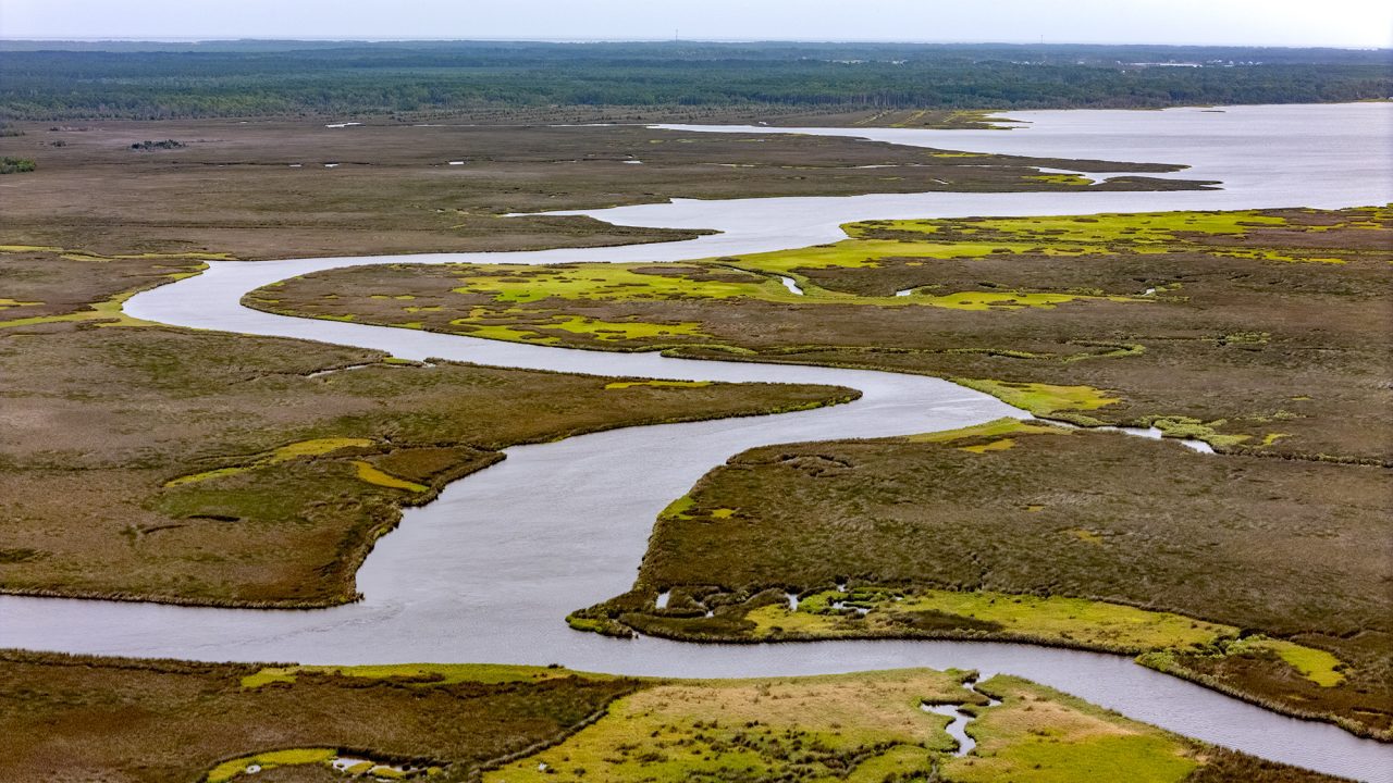 A maze of creeks cut through the salt marshes north of the Commissioner Jonathan Robinson Bridge and the gateway to Down East Carteret County. Photo: Dylan Ray