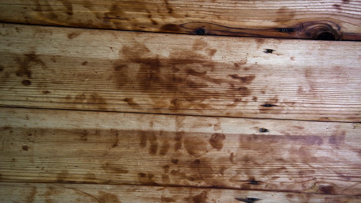 Handprints on the Rehoboth Church ceiling are those of the men who installed it in the 1880s. Photo: Kip Tabb