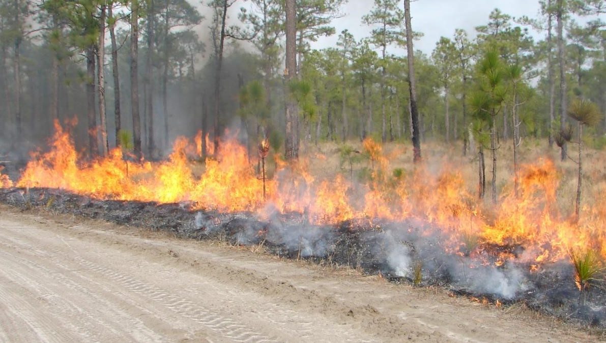 The landowner resource workshop Oct. 3 will cover a range of topics, including prescribed burning. Photo courtesy, workshop organizers