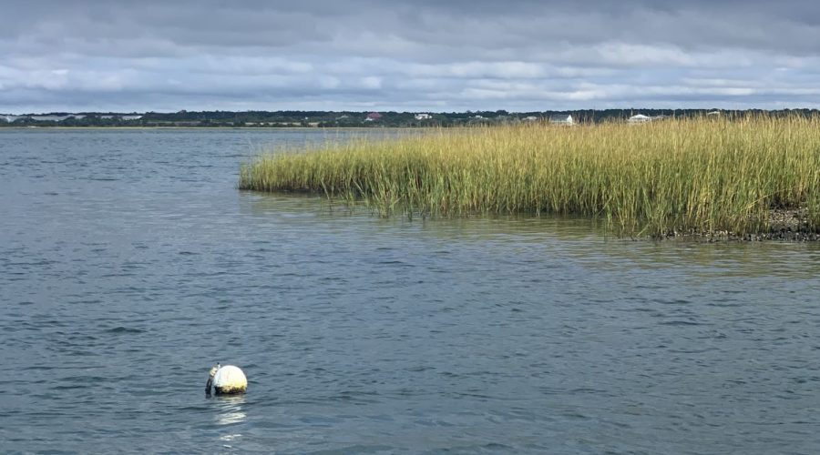 Middle Marsh at the Rachel Carson Reserve in Beaufort. Jillian Daly/N.C. Coastal Reserve