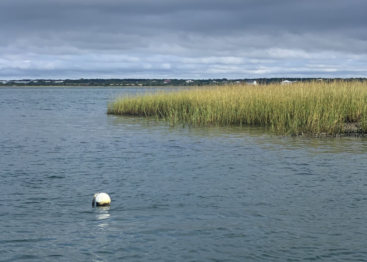 Middle Marsh at the Rachel Carson Reserve in Beaufort. Jillian Daly/N.C. Coastal Reserve