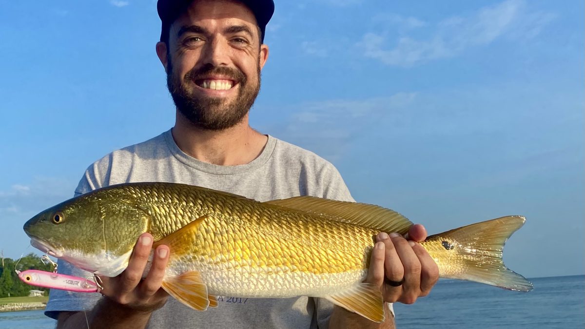 Josh Helms of New Bern with a gorgeous colored redfish from the Neuse River.