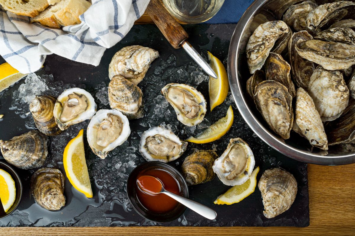 The state is celebrating the saltwater bivalve all of October, which the governor has proclaimed as North Carolina Oyster Month. Photo: Justin Kase Conder/courtesy NC Oyster Trail