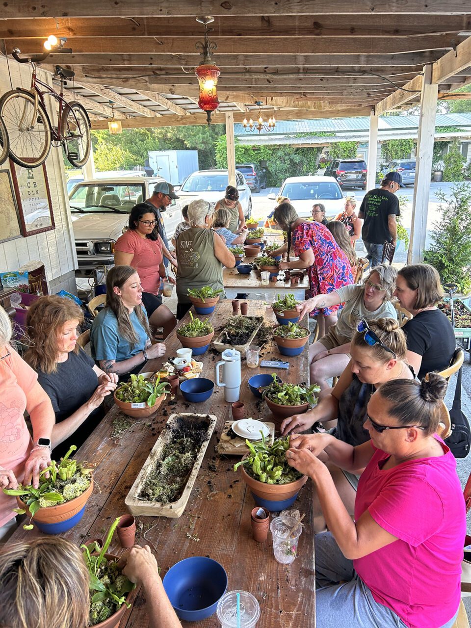 Students learn how to grow, care for and help native Venus flytraps during a Carolina Home & Garden carnivorous plant class. Photo: Carolina Home & Garden