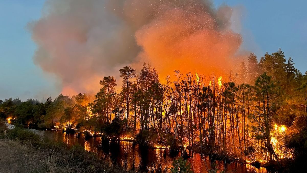 Last Resort fire March 2023 in Tyrrell County. Photo: N.C. Forest Service