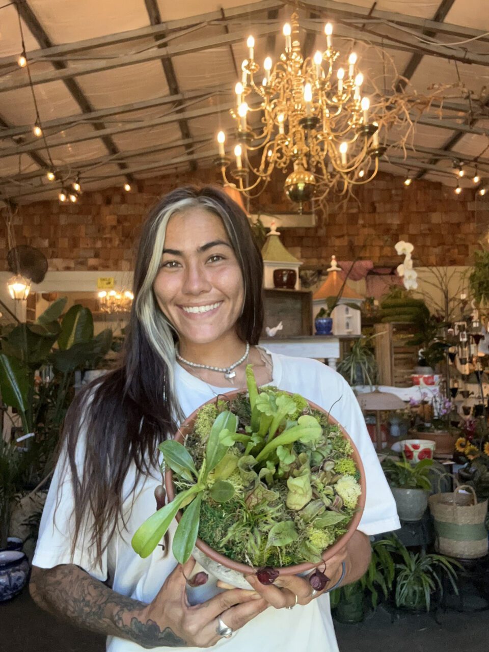 Certified plant professional and rare plants collector Franchesca Davis holds a pot of Venus flytraps, pitcher plants and sun dews created at a Carolina Home & Garden carnivorous plant class. Photo: Carolina Home & Garden