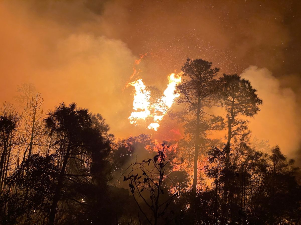 Last Resort fire March 2023 in Tyrrell County. Photo: N.C. Forest Service