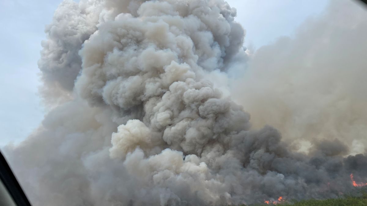 Pulp Road fire in Brunswick County during June 2023. Photo: N.C. Forest Service