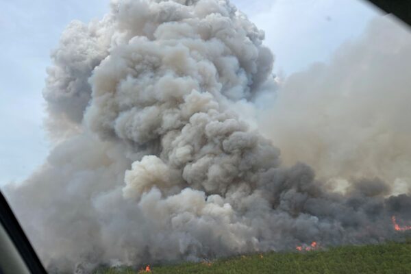 Pulp Road fire in Brunswick County during June 2023. Photo: N.C. Forest Service