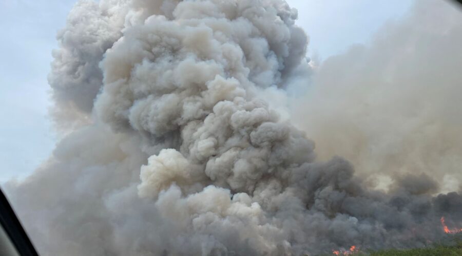 Pulp Road fire in Brunswick County during June 2023. Photo: N.C. Forest Service