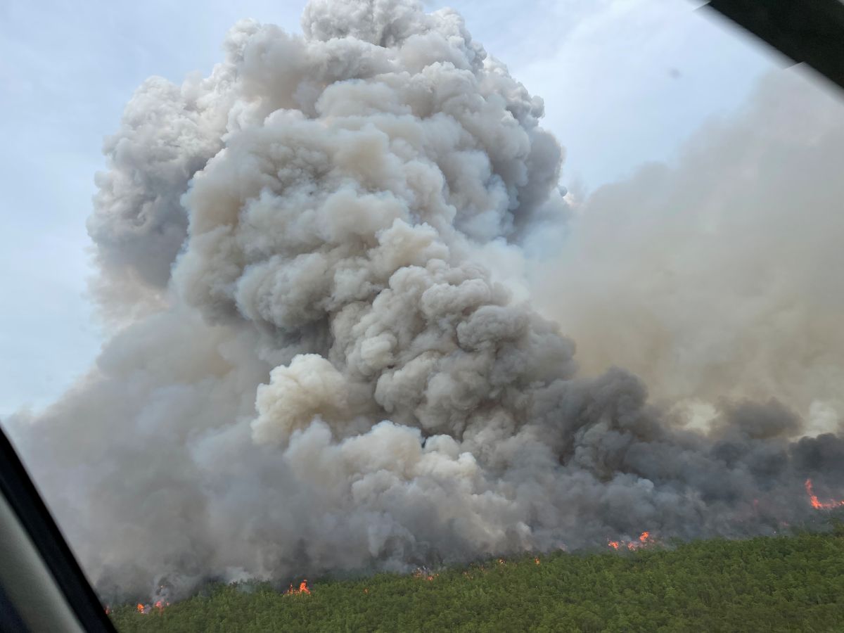 Pulp Road fire in Brunswick County during June 2023. Photo: N.C. Forest Service