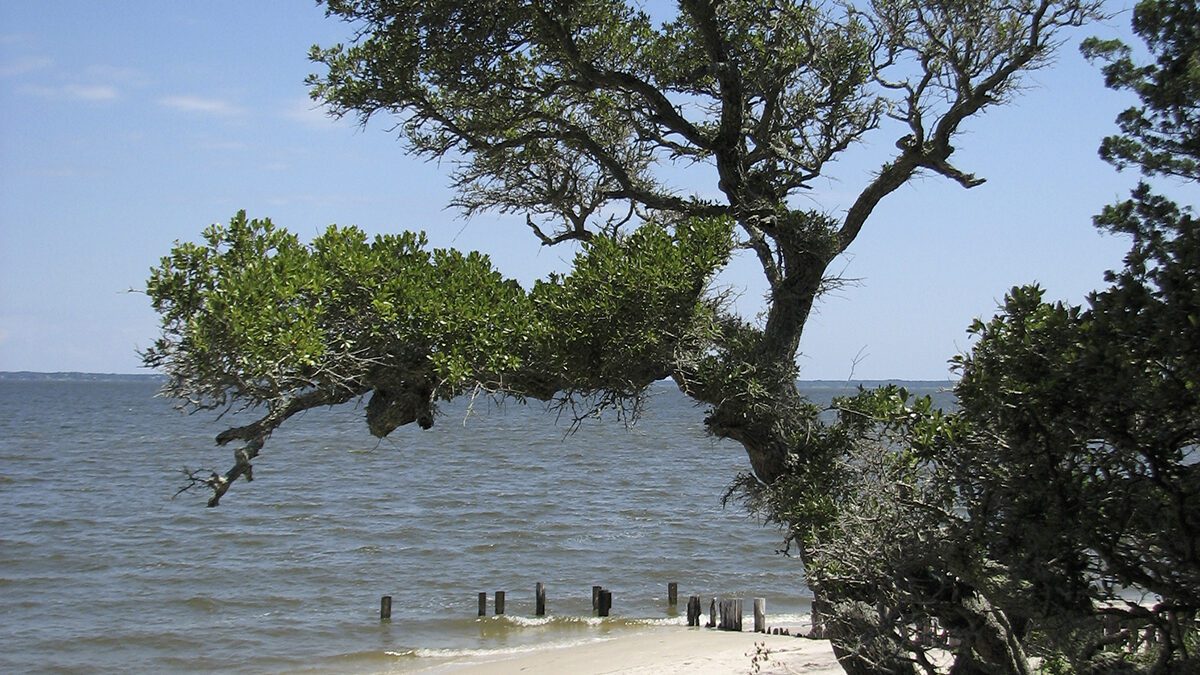 The north end of Roanoke Island, with the Albemarle Sound visible beyond. Photo: National Park Service