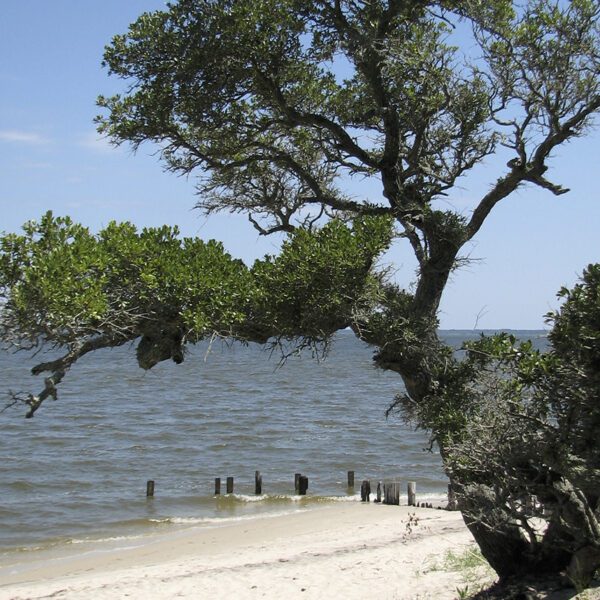 The north end of Roanoke Island, with the Albemarle Sound visible beyond. Photo: National Park Service