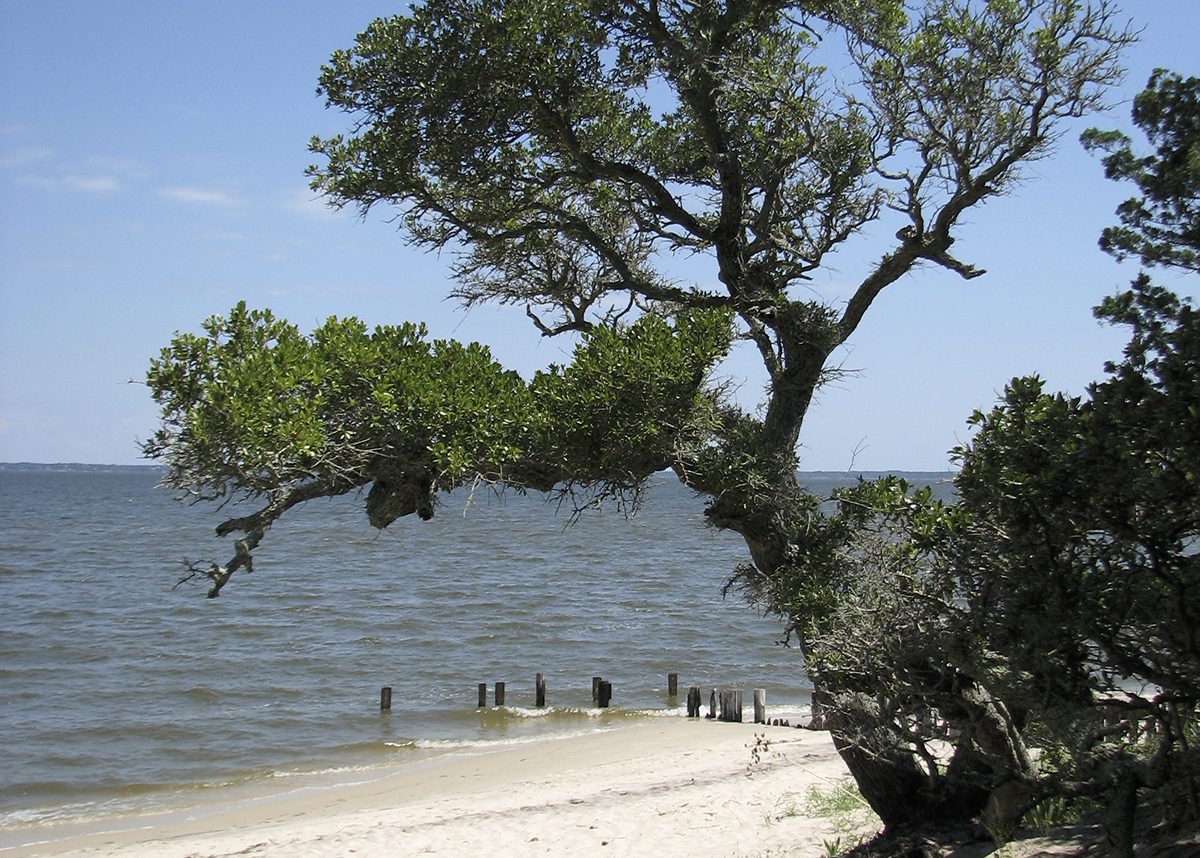 The north end of Roanoke Island, with the Albemarle Sound visible beyond. Photo: National Park Service