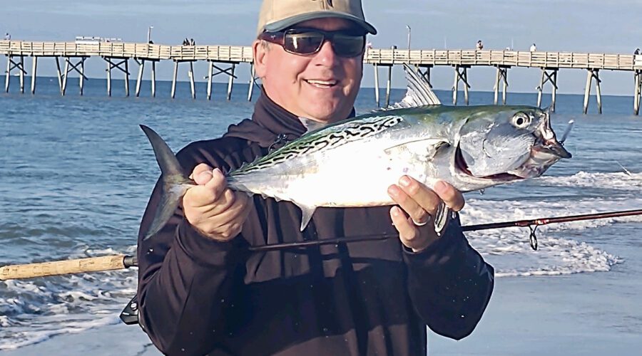 Capt. Gordon shows off a false albacore. If you’re lucky, you can see them crashing in the surf.