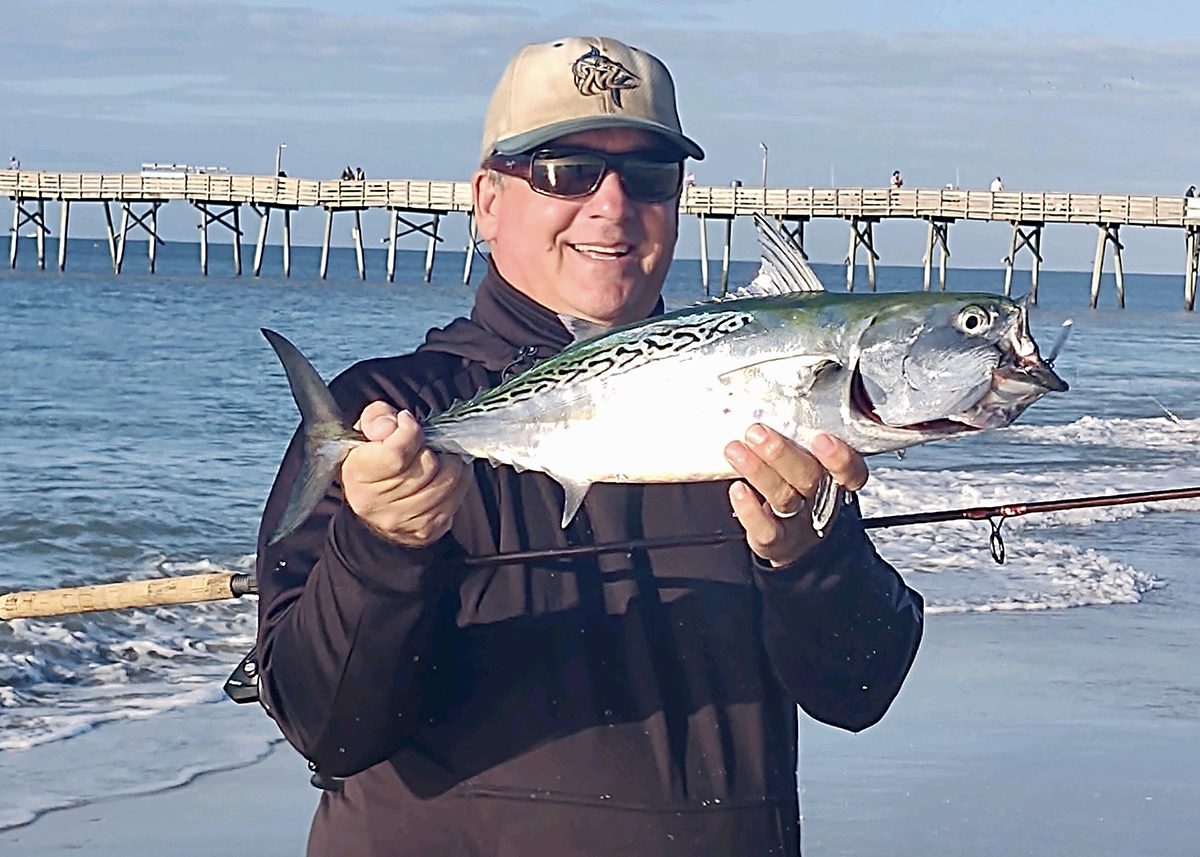 Capt. Gordon shows off a false albacore. If you’re lucky, you can see them crashing in the surf.