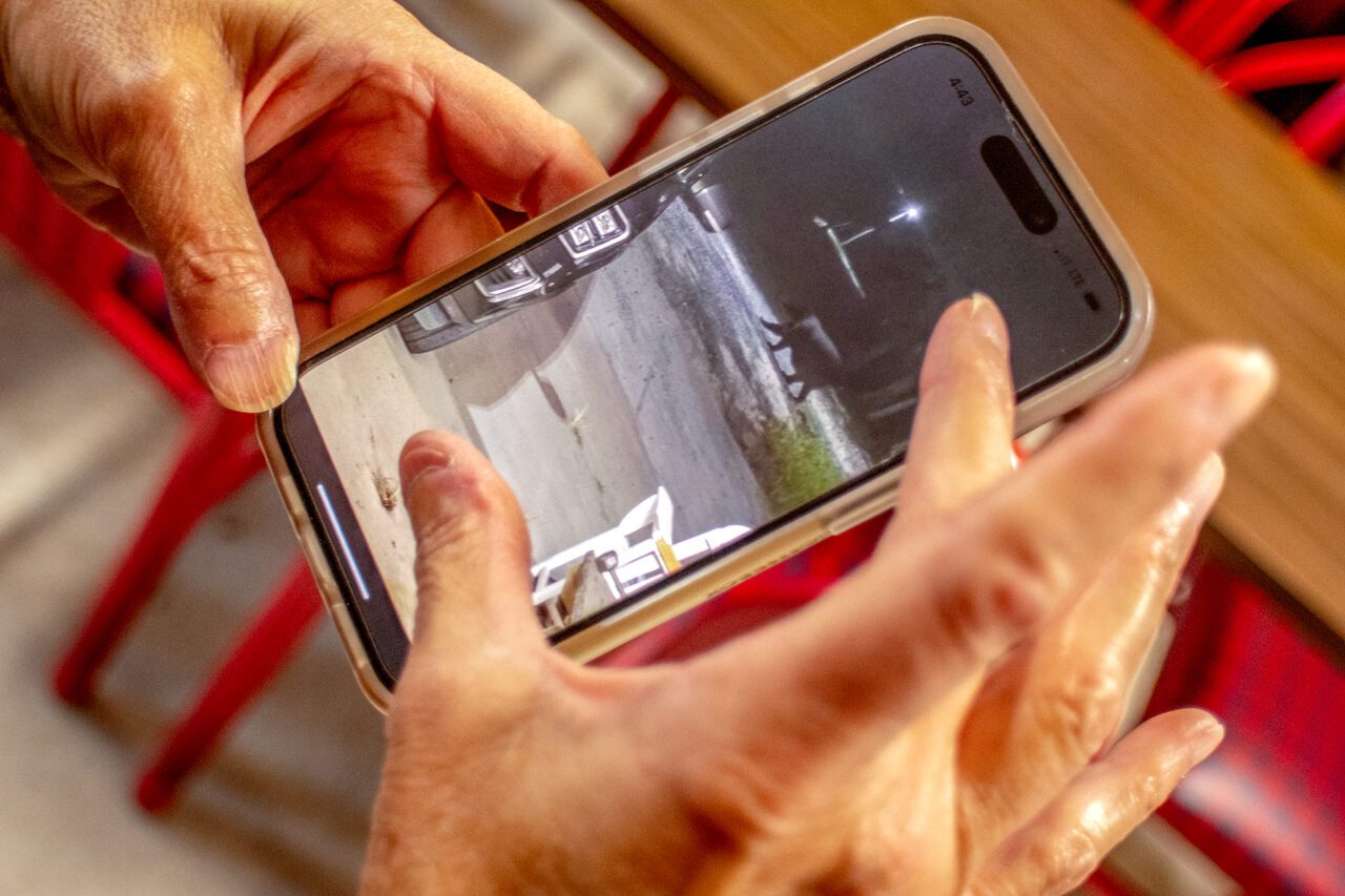 Tyrrell County native Joy Cooper shows images of bears stored on her mobile device in downtown Columbia. Photo: Dylan Ray