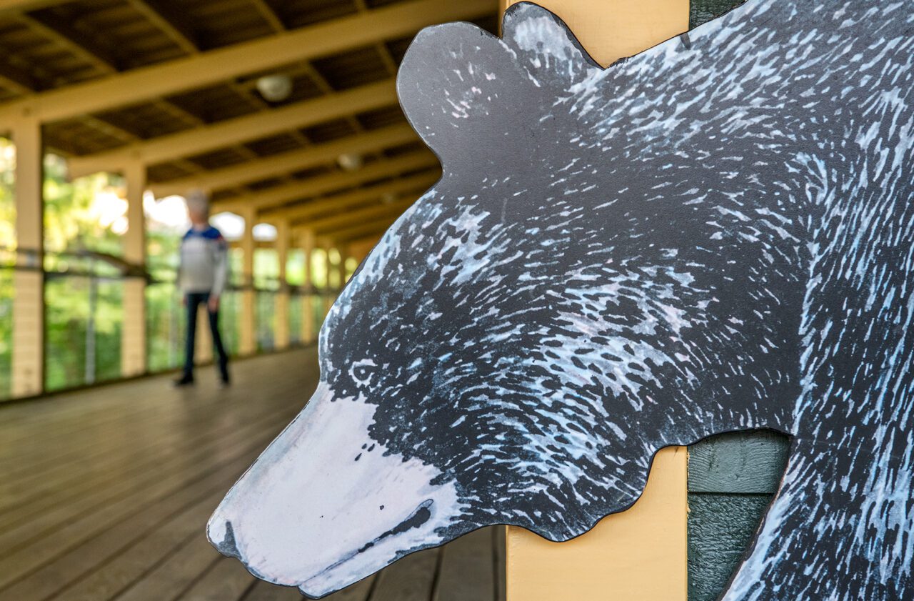 A black bear cutout greets visitors at the Walter B. Jones Sr. Center For The Sounds And Pocosin Lakes National Wildlife Refuge Headquarters in Columbia. Photo: Dylan Ray