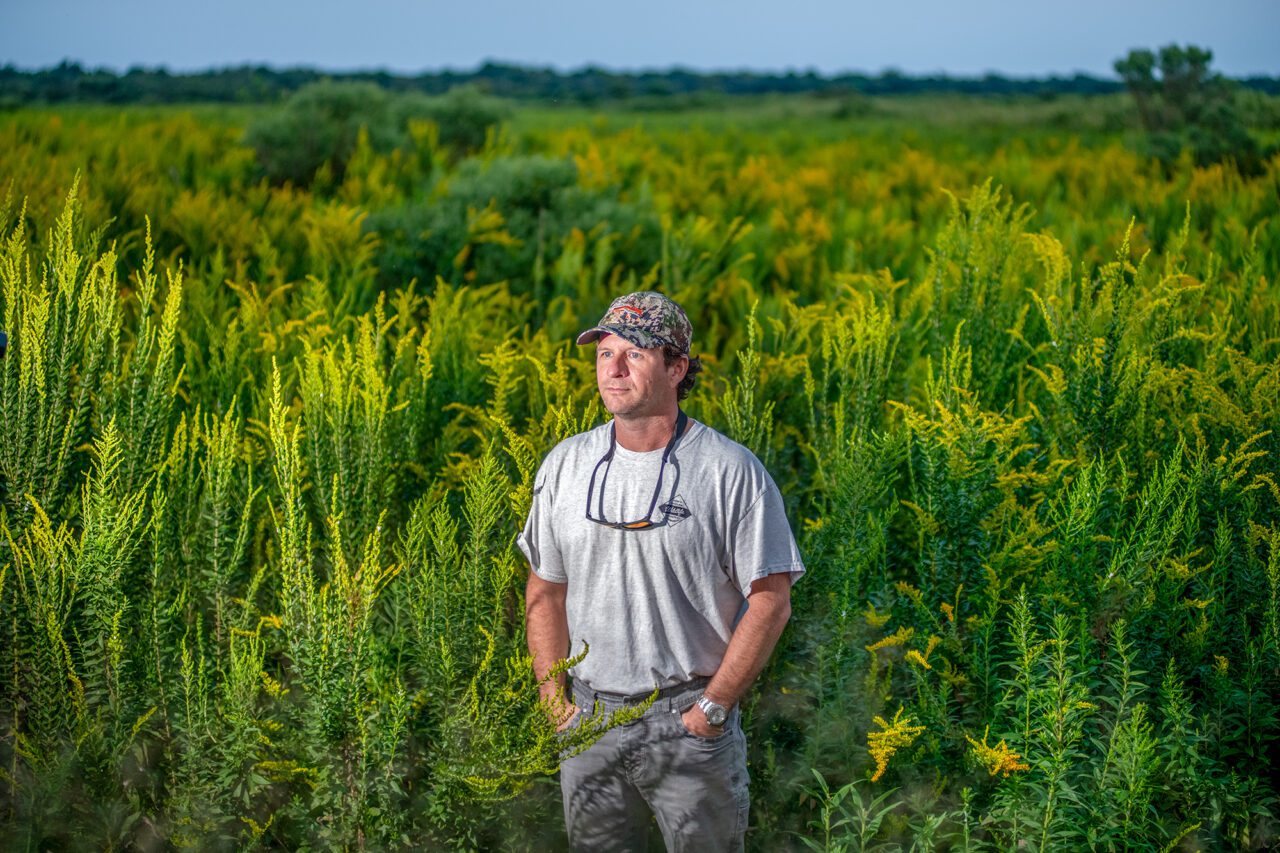 North Carolina Wildlife Resource Commission Hunter Education Instructor Chase Luker stands on the edge of a field where black bears feed near the Pocosin Lakes Wildlife Refuge in Tyrell County. Photo: Dylan Ray