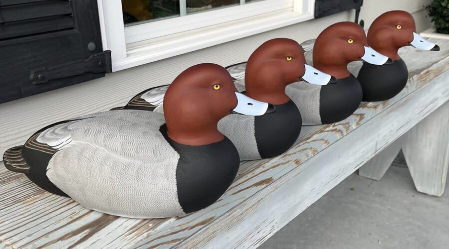 Decoys of redhead ducks created by Jason Michels. Photo: Contributed