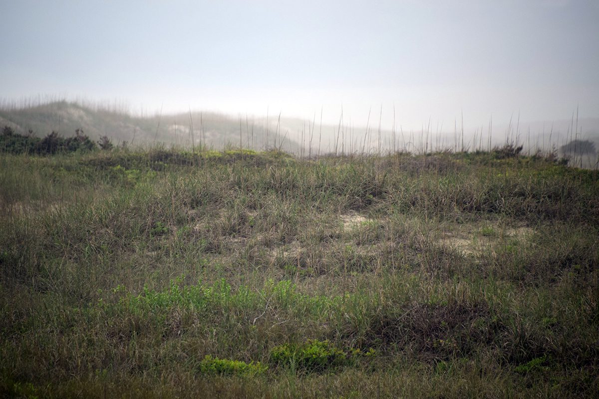 Ocracoke's dunes offer an unusually unspoiled glimpse of natural coastal habitat. Photo: Mark Hibbs