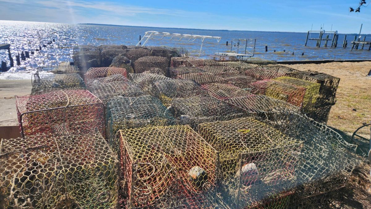 A stack of lost crab pots retrieved from waters in the northeast during the 2023 Lost Fishing Gear Recovery Project. Photo: N.C. Coastal Federation