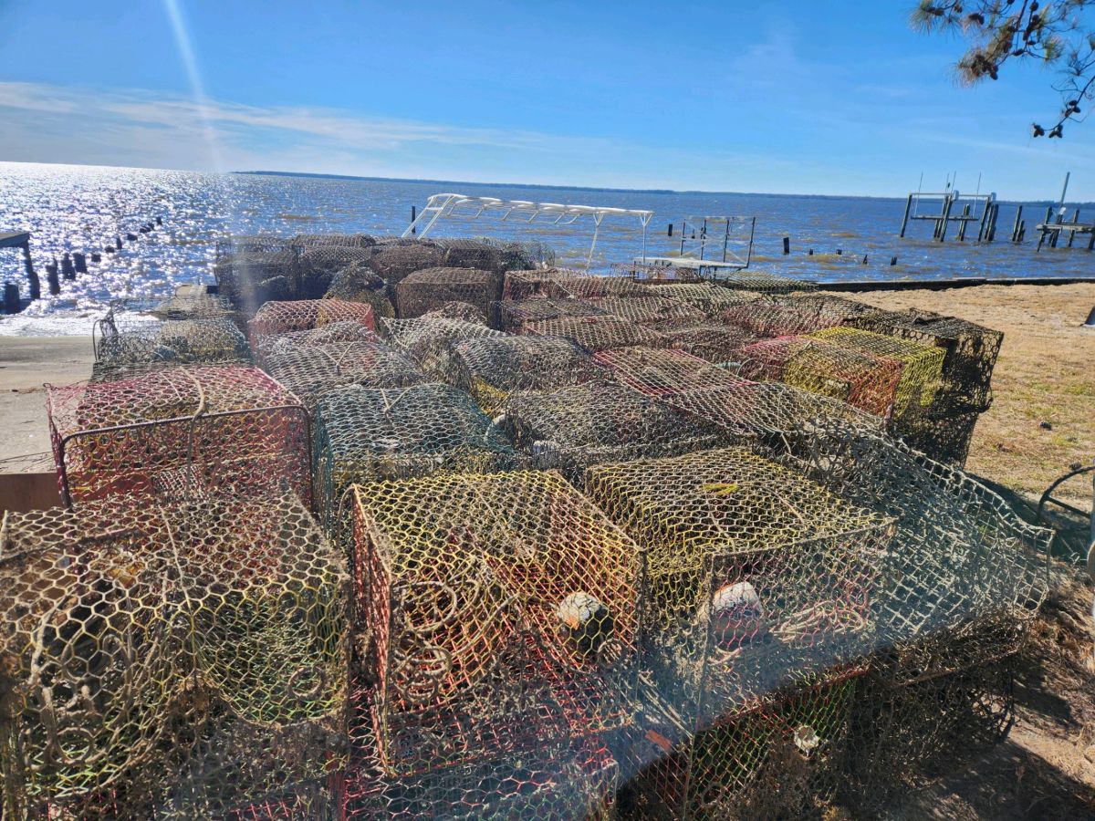 A stack of lost crab pots retrieved from waters in the northeast during the 2023 Lost Fishing Gear Recovery Project. Photo: N.C. Coastal Federation